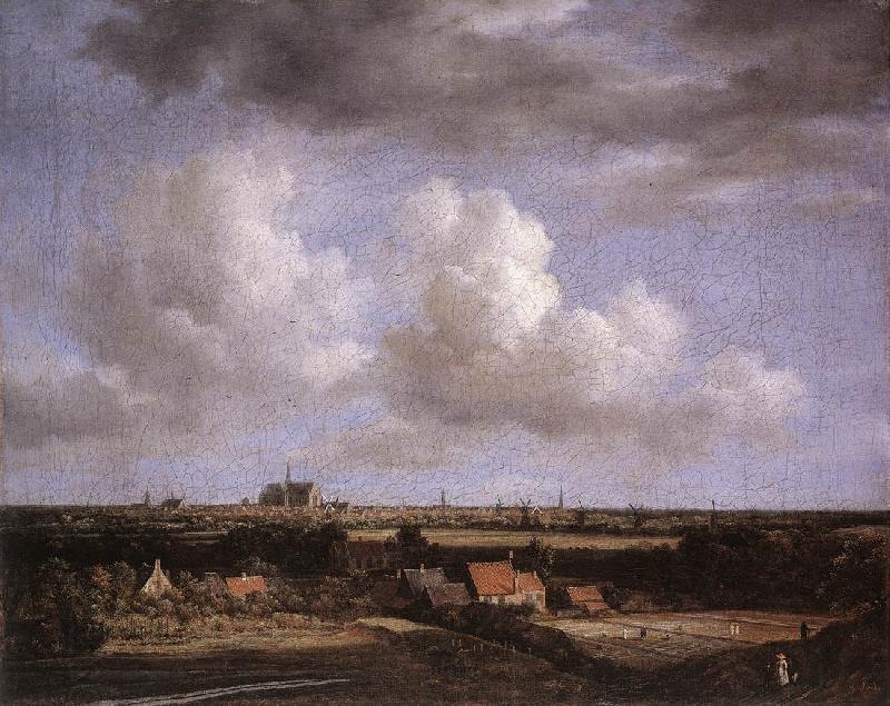 Jacob van Ruisdael Landscape with a View of Haarlem China oil painting art